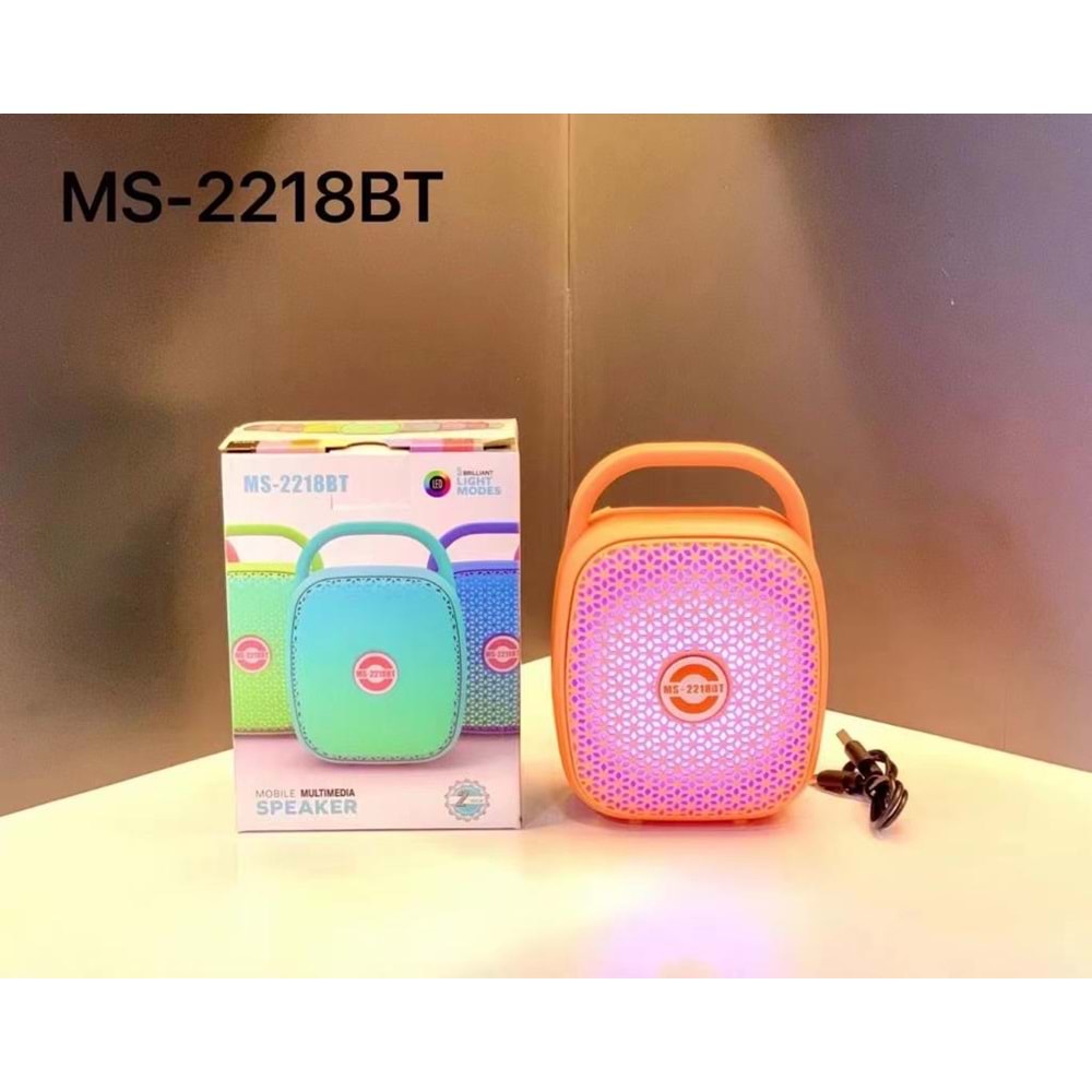 HSD MÜZİK KUTUSU 2218BT