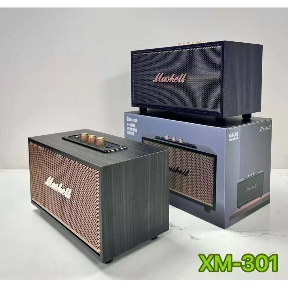 HSD MÜZİK KUTUSU XM301