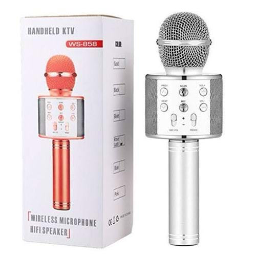 HSD KARAOKE MİKROFON 858