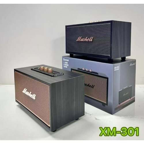 HSD MÜZİK KUTUSU XM301