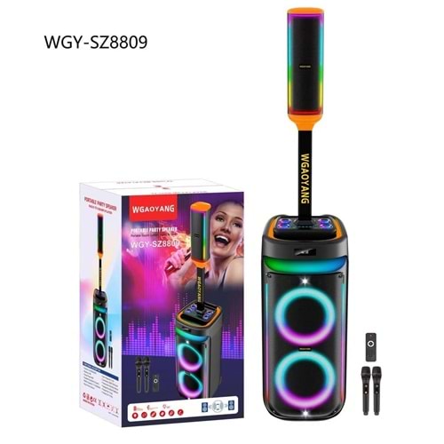 DVIP MÜZİK KUTUSU SZ 8809